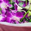 Exquisite 10-Piece Thailand Orchids Bouquet | Elegant Tropical Flowers in Calgary