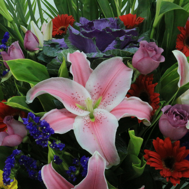 Grand Harmony Red Lily and Gerbera Opening Arrangement