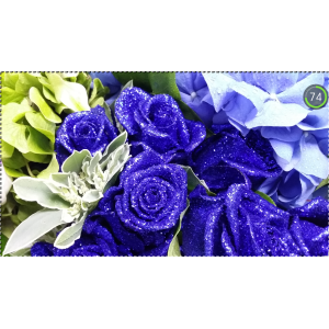 Crystal Blue Roses with Hydrangea Bouquet