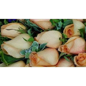 Calgary Ruby Flower Shop Charming Bliss Orange Rose Bouquet 2787