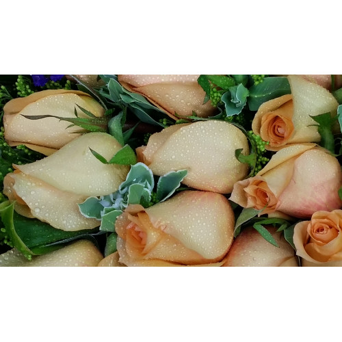 Calgary Ruby Flower Shop Charming Bliss Orange Rose Bouquet 2787