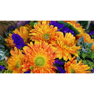 Calgary Ruby Flower Shop Morning Radiance 10 Holland Orange Gerberas Bouquet