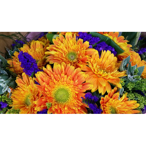 Calgary Ruby Flower Shop Morning Radiance 10 Holland Orange Gerberas Bouquet