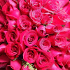 Forever My Love 100 Long Stem Red Roses Bouquet