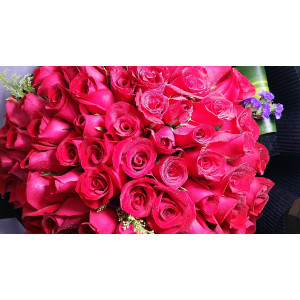 Calgary Ruby Flower Shop Forever My Love 100 Long Stem Red Roses Bouquet