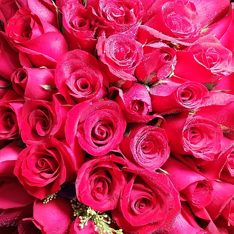 Forever My Love 100 Long Stem Red Roses Bouquet