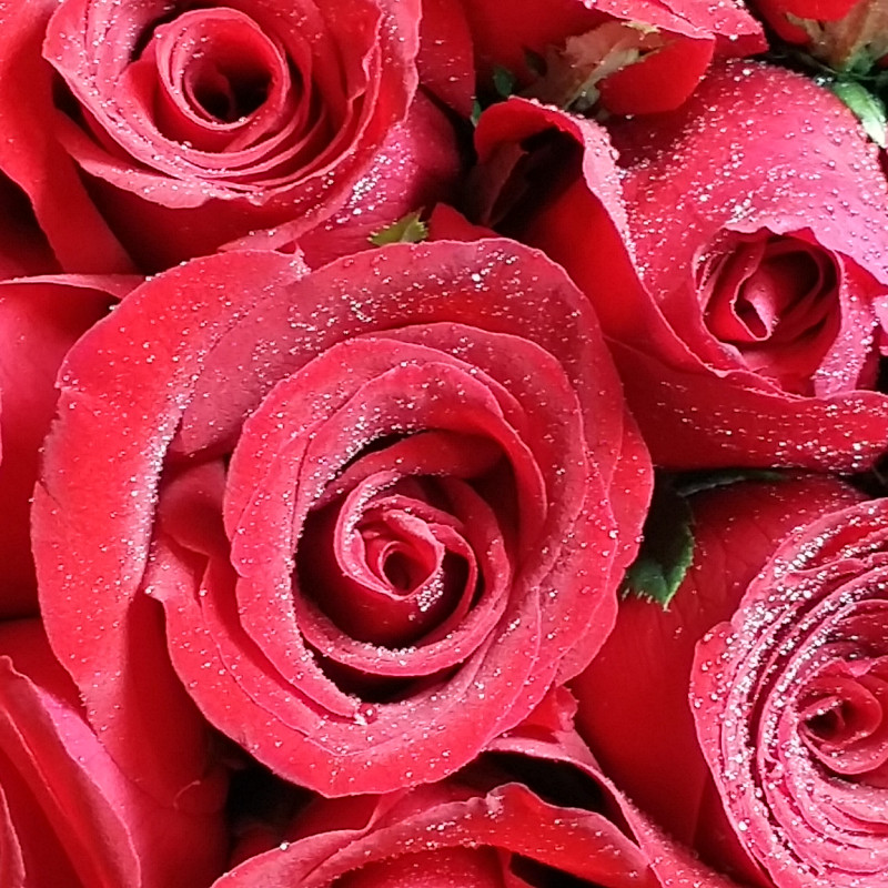 Forever My Love 100 Long Stem Red Roses Bouquet