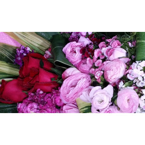 Calgary Ruby Flower Shop Blushing Majesty Peony Bouquet