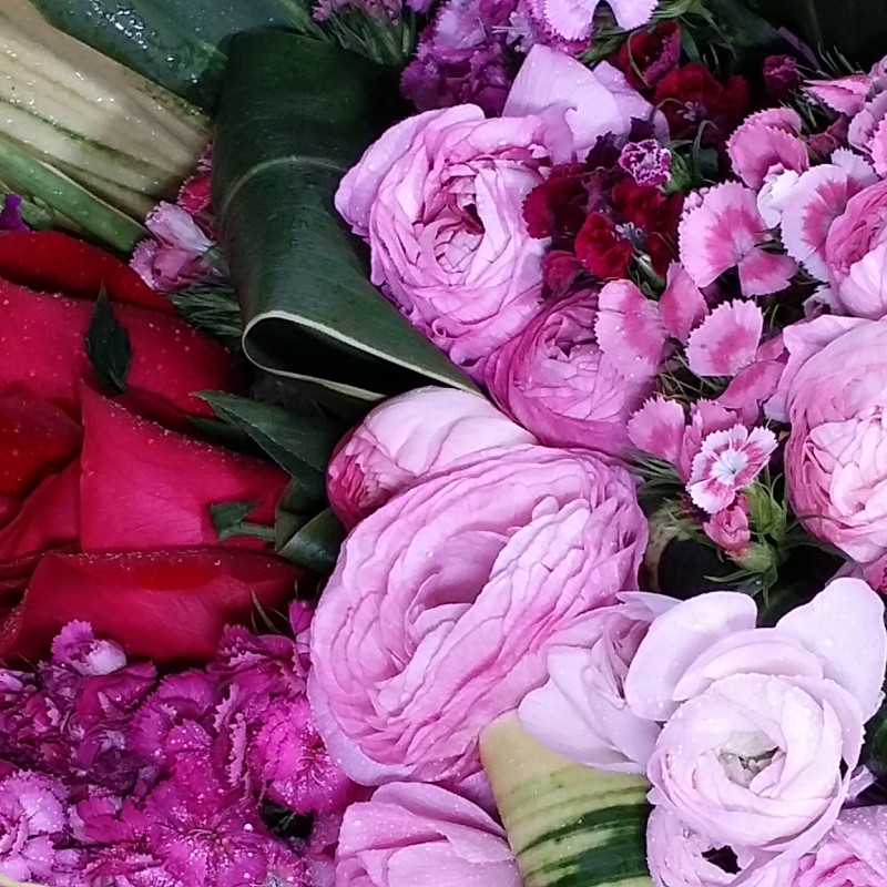 Blushing Majesty Peony and Rose Bouquet