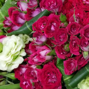 Calgary Ruby Petite Red Romance Mini Roses Bouquet 2853