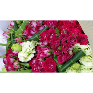 Calgary Ruby Petite Red Romance Mini Roses Bouquet 2853