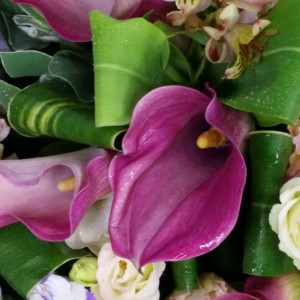 Calgary Ruby Pink Power Calla Lily Dream Bouquet 2861