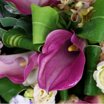 Graceful Pink Calla Lily Valentines Bouquet