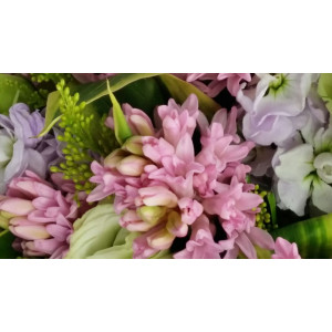 Calgary Ruby Flower Shop Charming Hyacinth Bouquet 2883