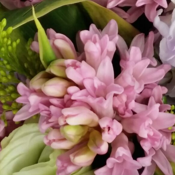Charming Purity Seasonal Hyacinth Bouquet