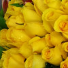 Golden Harmony Fifty Roses Love Bouquet