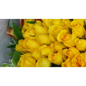YYC Direct Flowers Golden Harmony Fifty Roses Bouquet 2886