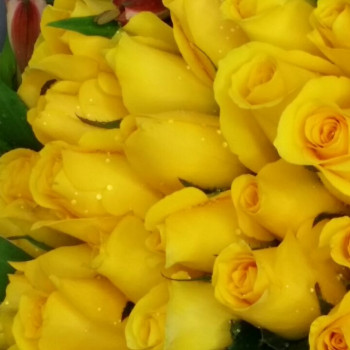 Golden Harmony Fifty Roses Love Bouquet