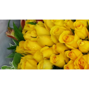 YYC Direct Flowers Golden Harmony Fifty Roses Bouquet 2886