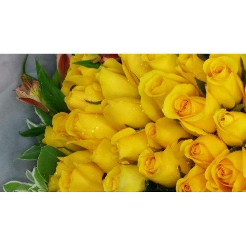 YYC Direct Flowers Golden Harmony Fifty Roses Bouquet 2886