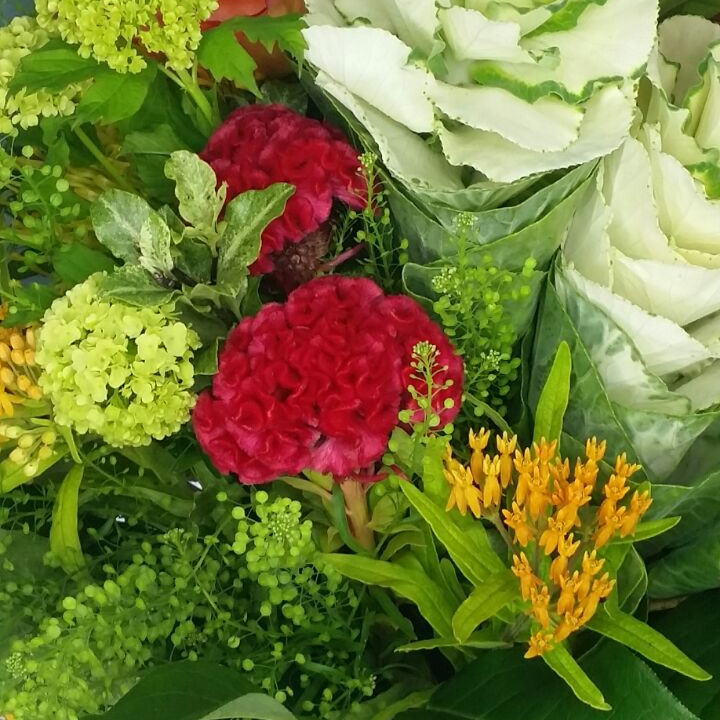 Charming  Seasonal Vase Arrangement