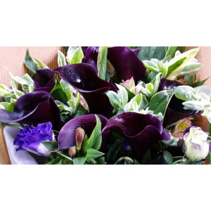 Calgary Flower Shop Mystical Elegance Dark Purple Calla Lily Bouquet
