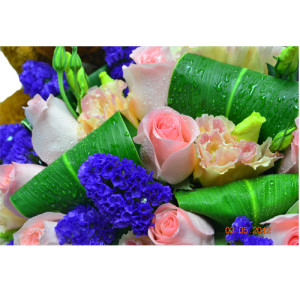 Ecuador Rose Garden Teddy Bear Heart with 12 Pink Roses