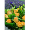 Holland Tulips Garden Radiant Charm Orange Roses Bouquet