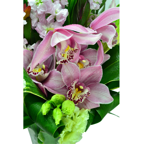 Holland Tulips Garden Exquisite Harmony Cymbidium Vase Arrangement