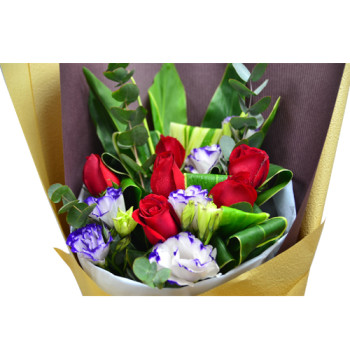 Canada Flower Gifts Half Dozen Roses Bouquet Simple but Elegant Valentines Day