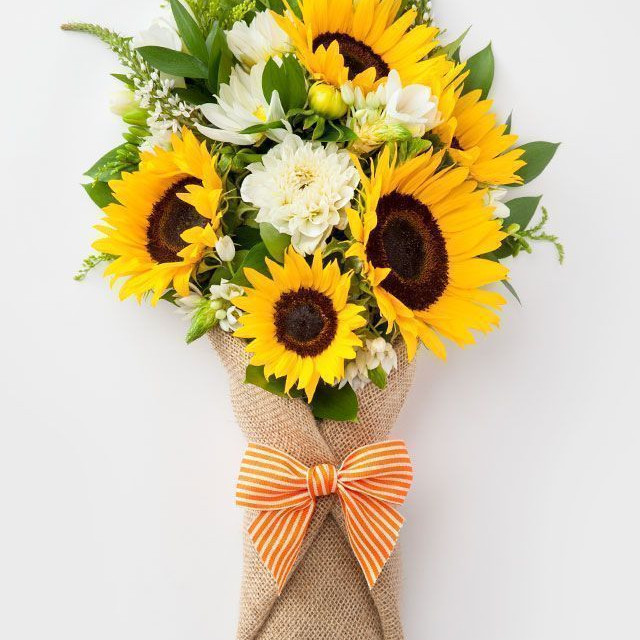 The Sun Flowers Alya