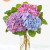 The Andrea Vase Bouquet - Three Hydrangea