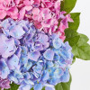 The Andrea Vase Bouquet - Three Hydrangea