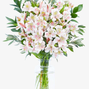 Alstroemeria Bouquet - The Isa