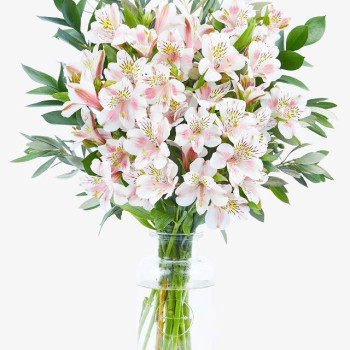 Alstroemeria Bouquet - The Isa