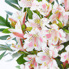 Alstroemeria Bouquet - The Isa
